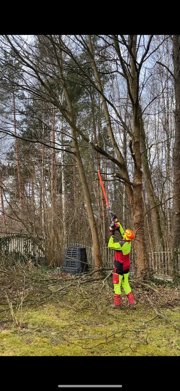 Realizacja arborystyczna 4